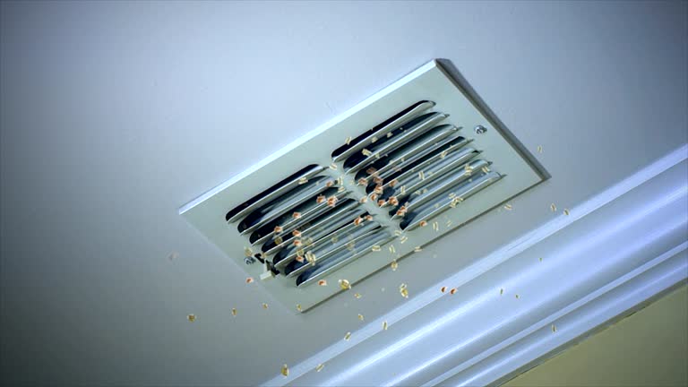 Best Air Duct Cleaning Near Me  in Emmon, AK