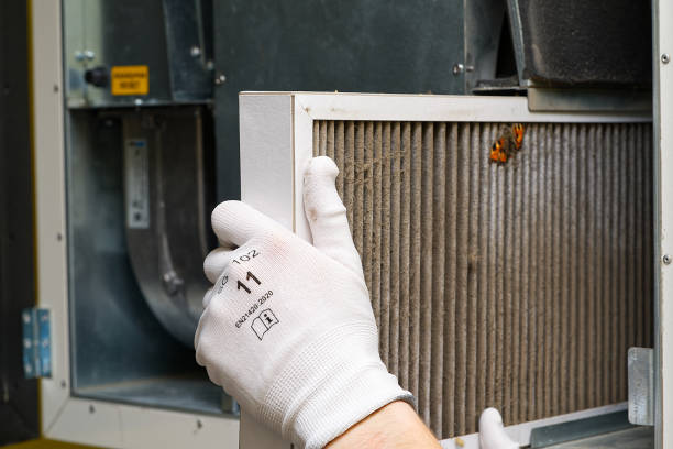 Best Professional Duct Cleaning Services  in Emmon, AK