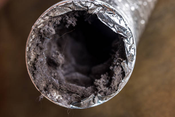 Best Dryer Vent Cleaning Services  in Emmon, AK