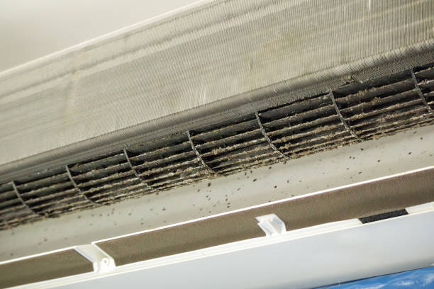Best Affordable Air Duct Cleaning  in Emmon, AK